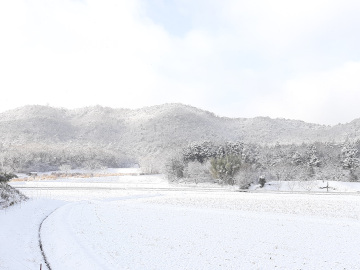 雪景色