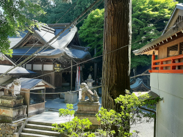 本瀧寺