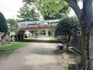 neyagawawalk18