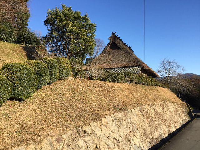 長谷の棚田